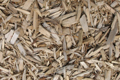 biomass boilers Ginclough
